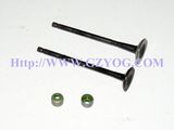 Yog Motorcycle Engine Spare Parts Alloy Valve Seal Valve Stem Complete Bajaj Tvs Italika Scooters Cub Suzuki En125 YAMAHA Ybr125 Tricycle Lifan for Honda Loncin