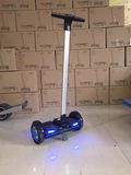 2X350W Power Self Balance Scooter with Grab Pole