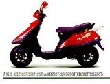 Motorcycle - Fi-Phoenix XDZ125T-A