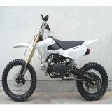 150CC Pit Bike /Dirt Bike/Motorcycle for Professional