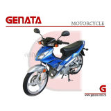 Motorcycle (GM110A1)