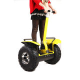 New Design Adult 2-Wheel Scooter for Fun, with Lithium Battery