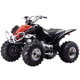 150CC / 110CC ATV Raptor (ATV-150)