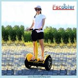 New Mini Power 3 Wheel Electric Mobility Scooter