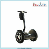 CE Approved Electric 2 Wheel Standing Self-Balancing Scooter