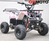 CE 110CC/125CC Quad ATV Automatic Clutch (QW-ATV-02C)