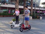 Jiexg Mini Electric Scooter with MSDS Certificate in Hot Sale!