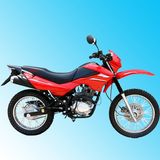 Dirt Bike (QLM150GY-2)