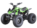 110CC ATV (GBTA34-110)