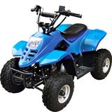 ATV110CC (XW-A07)