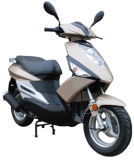 Gas Scooter (ZW50QT-38)