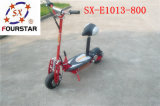 800W Power Electric Scooter Sx-E1013-800