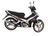 CUB Bike SKC110-7(VI)