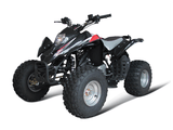 110CC ATV (GBTA51-110)