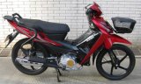 Motorcycle/Cub Motorcycle (SP125-47) 