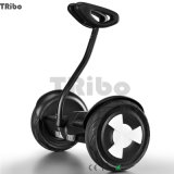 New Product 2 Wheel Scooter 2 Wheel Electric Standing Scooter Kids Scooter Mobility Scooter