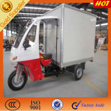 Hot Sale Cloesed Cabin 3 Wheeled Motorcycle