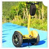 Two Wheel Balancing Electrical Scooter, Ecorider Mobility Chariot Scooter