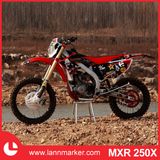 250cc Mini Motorbike