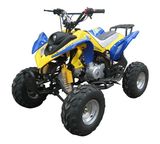 50CC Mini ATV, 50CC Kids ATV (FPA50-1)