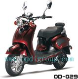 Electric Motorcycle (OD-029)