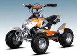 2 Stroke New Model Quad (TY-DB406)