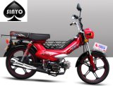 New Chinese Model Mini Moped