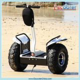 CE Approved Cheap Adult 2 Wheel Electric Stand up Chariot Scooter