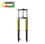 Ww-6133 Motorcycle Part, Dayun150 Front Fork Assembly, Shock Absorber,