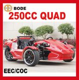 New 250cc ATV Quad Bike for Sale (MC-369)