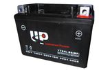 Sealed Motorcycle Battery (YTX4L-BS MF)