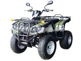 Water-Cooled, 260cc, Single-Cylinder 4-Stroke EEC And EPA ATV (DP-ATV260(EEC-EPA)-B)