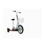 Electric Scooter (RH-103 -2)
