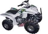 ATV 150CC (FST-150-C)