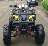 250cc Big Power, Popular Star, Zc-ATV-10b (250CC)