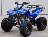 Christmas Gift Mini Quad ATV