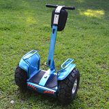 2 Big Power Motor 2000W Chariot off Road Electric Mobility Scooter