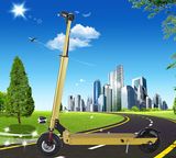 Foldable Light Weight Electric Scooters