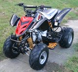 ATV - Kazuma Falcon Baby Falcon 100