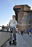 Small Size Electric Mobility Scooters