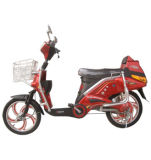 Electric Bicycle (8)