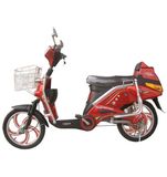 Electric Bicycle (8)