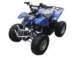 50cc/110cc Mini Polaris ATV&Quad (ATV-110C)