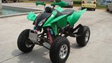 300CC ATV (KWS12-Q300)