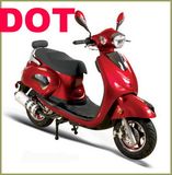 150cc DOT approverd Motor Scooter (DOT150T-4)