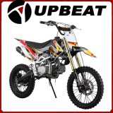 Upbeat 140cc Pit Bike 150cc Pit Bike Crf110 New Model