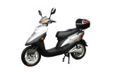 Electric Scooter (FPE-014)