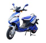 Electric Scooter (Bdem-8802(B09))