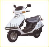 Electric Scooter (INE-11 500W)