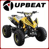 Upbeat Motorcycle 110cc ATV 125cc ATV for Kids Cheap for Sale